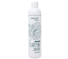 BES Colour Lock Clarifying Shampoo New 300 ml -  Čistící šampon