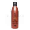 BES Solaire Shampoo & Shower 300ml - Vlasový a telový šampón po slnení