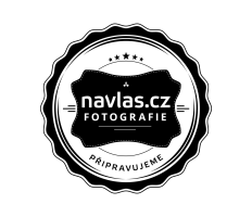 Havlíkova Apotéka - Cibulovo fazolová vlasová maska 150ml exp. 03/2022