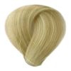 BES Hi-Fi - Barva na vlasy: 10.28 - platinová blond zlato béžová