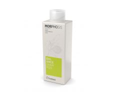 Framesi Morphosis Balance Shampoo 250ml - Šampón na mastné vlasy