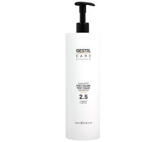 Gestil Care 2.5 Post Color Shampoo 1000ml - Šampón na farbené vlasy