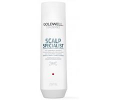 Goldwell Dualsenses Antidandruff Shampoo 250ml - Šampón proti lupinám