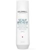 Goldwell Dualsenses Deep Cleansing Shampoo 250ml - Hĺbkovo čistiaci šampón
