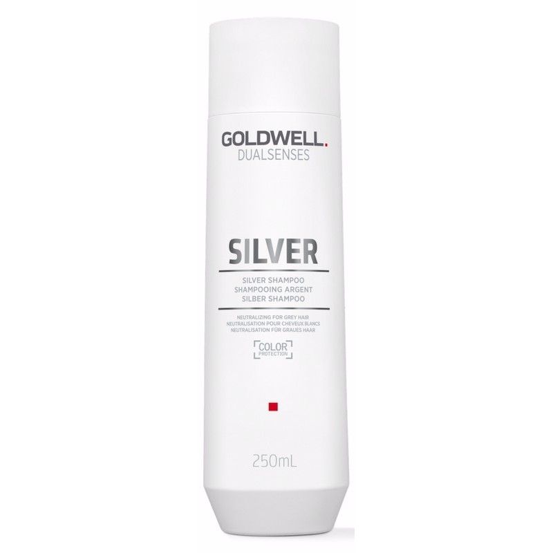 E-shop Goldwell Dualsenses Silver Shampoo 250ml - Strieborný šampón