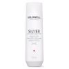 Goldwell Dualsenses Silver Shampoo 250ml  - Strieborný šampón
