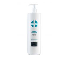 Sinergy Treatment Regulating Shampoo 1000ml - Šampón na mastný vlas