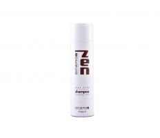 Sinergy Zen Protective After Color Shampoo 250ml - Šampón po farbení